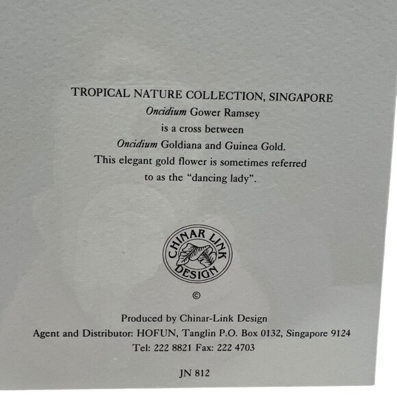 Orchid Flower Print Oncidium Gower Ramsey In Frame Tropical Nature Collection Ch - Picture 4 of 6